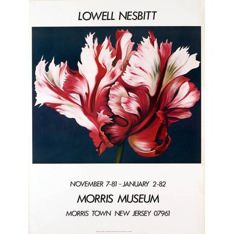 Flower (Lowell Nesbitt)