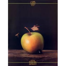 La pomme et l’insecte (Apple and insect)