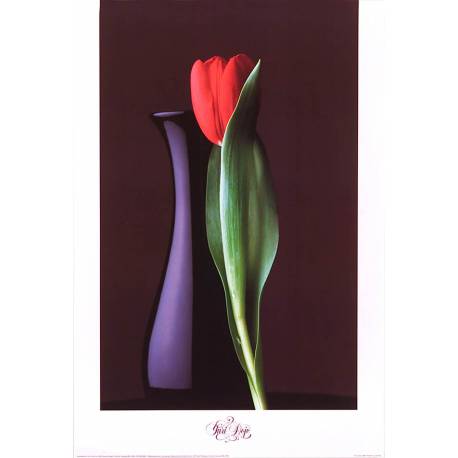 Yuri Dojc (red tulip)