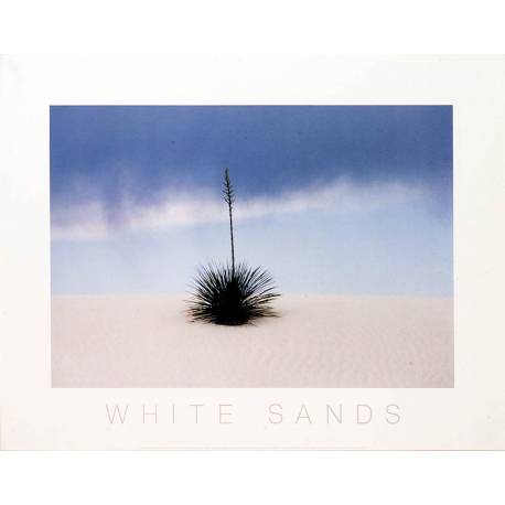 White sands